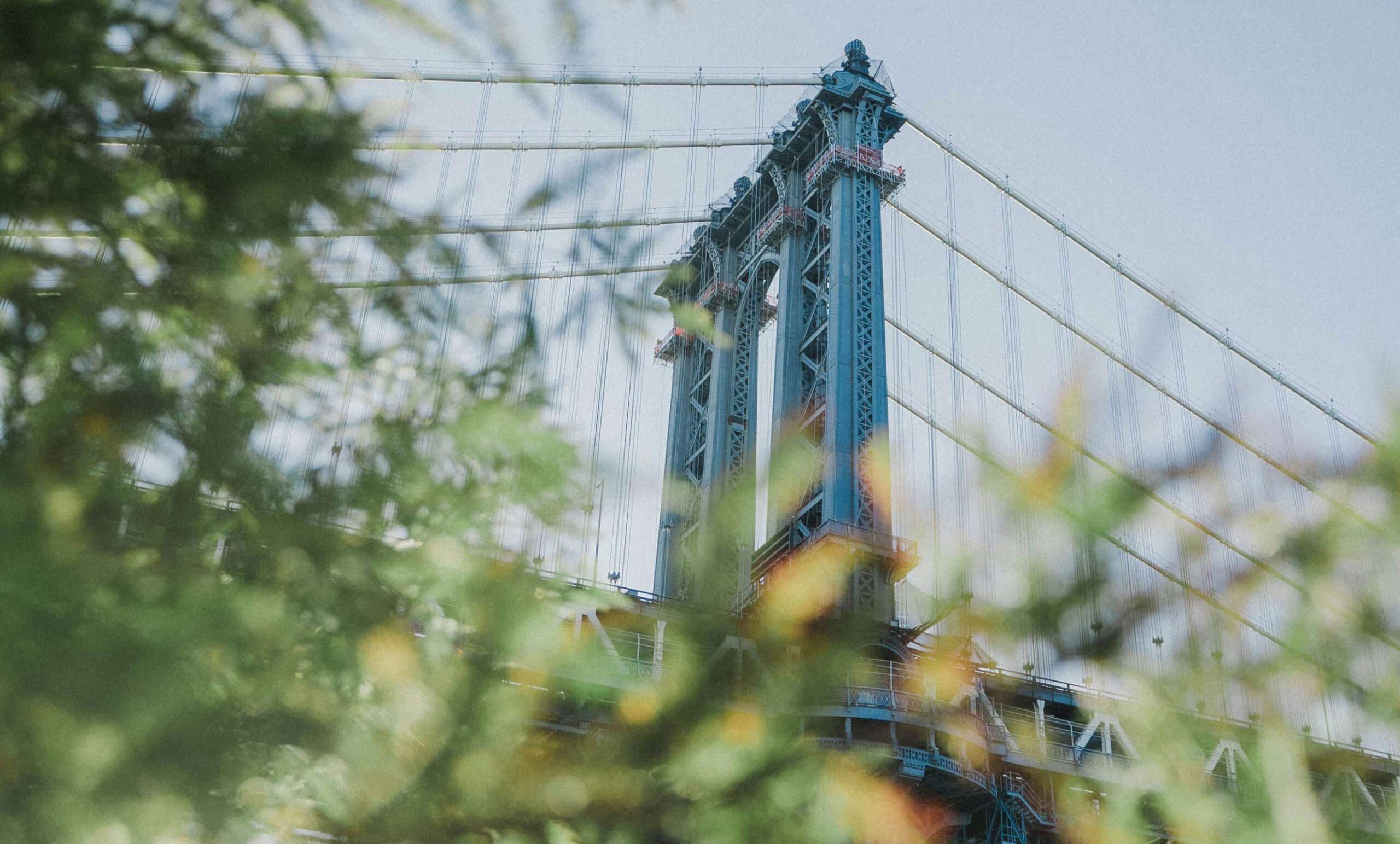 Bridge